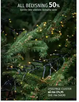 Nille LYSSLYNGE CLUSTER tilbud