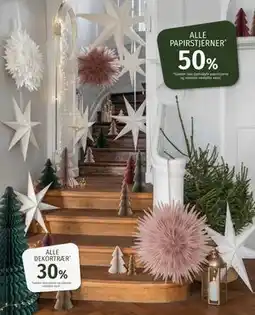 Nille ALLE DEKORTRÆR tilbud