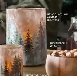 Nille URSKOG LYKT, 24CM, NOK 399.95 tilbud