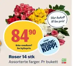 Coop Mega Roser 14 stk, Medlemspris tilbud