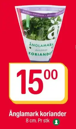 Coop Extra Änglamark koriander, NOK 15 tilbud
