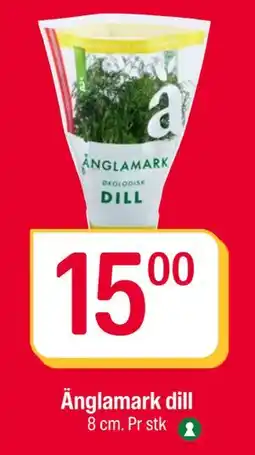 Coop Extra Änglamark dill, NOK 15 tilbud