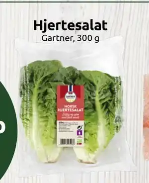 Hjertesalat