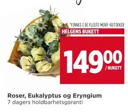Meny Roser, Eukalyptus og Eryngium, NOK 149 tilbud