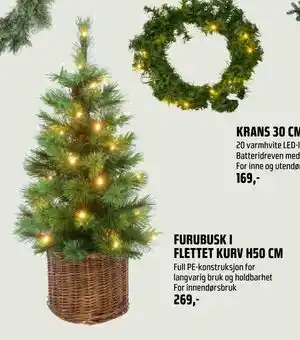 Coop Obs FURUBUSK I FLETTET KURV H50 CM, NOK 269 tilbud