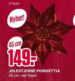 Europris JULESTJERNE POINSETTIA, NOK 149 tilbud