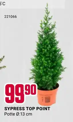 Europris SYPRESS TOP POINT, NOK 99.9 tilbud