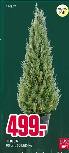 Europris THUJA, NOK 499 tilbud