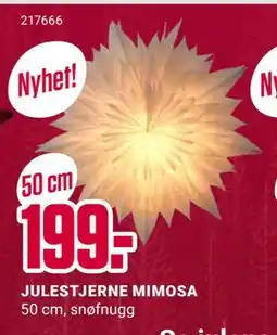 Europris JULESTJERNE MIMOSA, NOK 199 tilbud