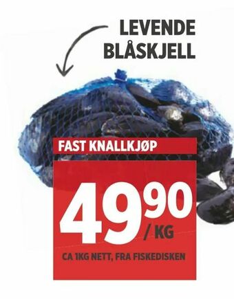 Meny Levende blåskjell tilbud