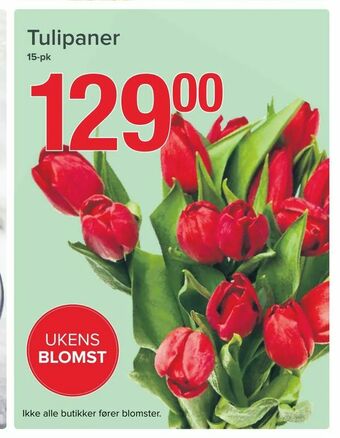 Spar Tulipaner tilbud