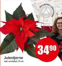 Spar JULESTJERNE tilbud