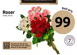 Joker Roser, NOK 99 tilbud