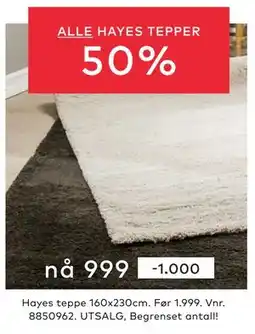 Skeidar ALLE HAYES TEPPER tilbud