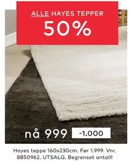 Skeidar Hayes teppe, NOK 999 tilbud
