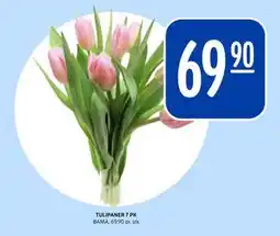 Rema 1000 TULIPANER 7 PK, NOK 69.9 tilbud