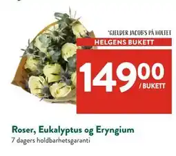 Jacobs Roser, Eukalyptus og Eryngium, NOK 149 tilbud