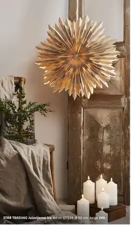 ELON STAR TRADING Julestjerne Ice, NOK 249 tilbud