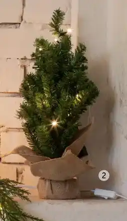 ELON STAR TRADING Pyntetre Toppy, NOK 299 tilbud