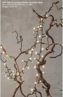 ELON STAR TRADING Lysslynge Utendørs Shiny Warm White, NOK 149 tilbud