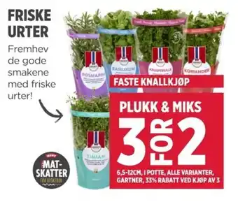Meny Friske urter tilbud