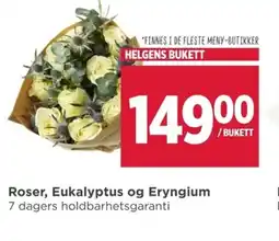 Meny Roser, eukalyptus og eryngium tilbud