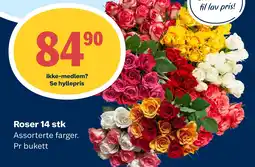 Coop Marked Roser 14 stk tilbud