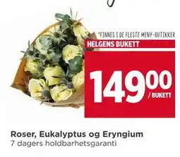 Meny Roser, Eukalyptus og Eryngium, NOK 149 tilbud