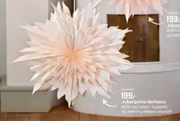 Europris Julestjerne Bellatrix tilbud