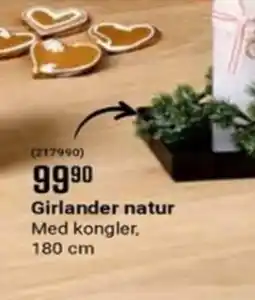 Europris Girlander natur tilbud