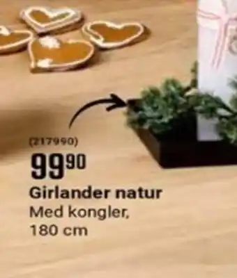 Europris Girlander natur tilbud