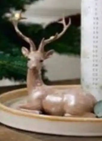 Europris Hjort liggende tilbud