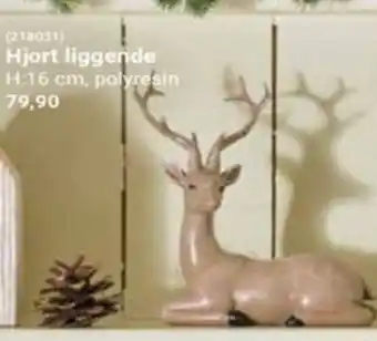 Europris Hjort liggende tilbud