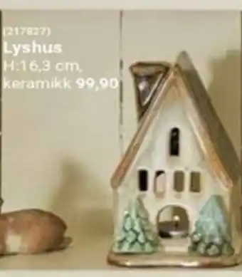 Europris Lyshus tilbud