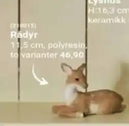 Europris Rådyr tilbud