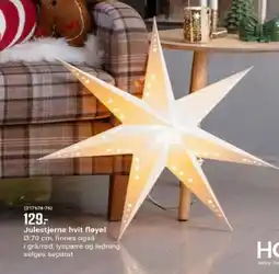 Europris Julestjerne hvit fløyel tilbud