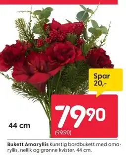 Rusta Bukett Amaryllis tilbud