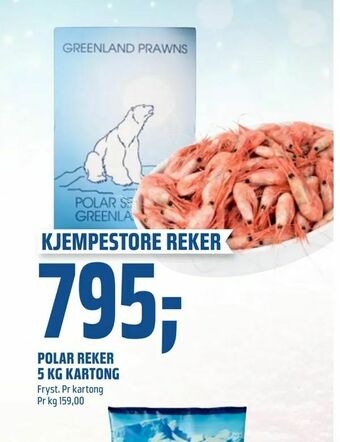 Coop Obs Polar reker 5 kg kartong tilbud