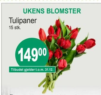 Joker Tulipaner tilbud