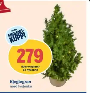 Coop Obs Kjeglegran, Medlemspris tilbud
