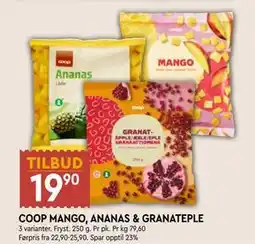 Coop Mega COOP MANGO, ANANAS & GRANATEPLE, NOK 19.9 tilbud