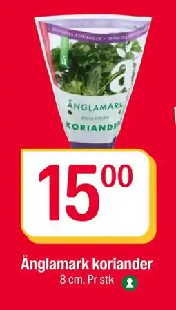 Coop Extra Änglamark koriander, NOK 15 tilbud