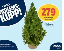 Coop Extra Kjeglegran, Medlemspris tilbud