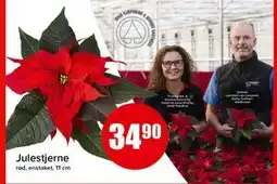 Spar Julestjerne, NOK 34.9 tilbud