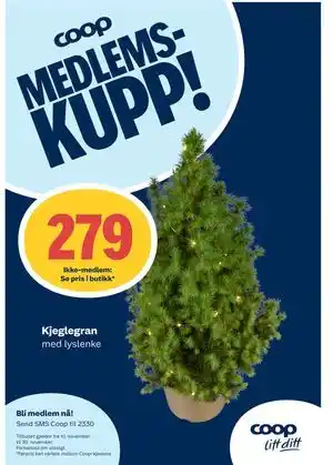 Coop Prix Kjeglegran, Medlemspris tilbud