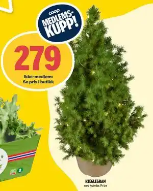 Coop Prix KJEGLEGRAN, Medlemspris tilbud