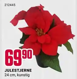 Europris JULESTJERNE, NOK 69.9 tilbud
