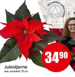 Spar JULESTJERNE tilbud