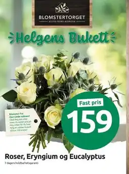 Joker Roser, Eryngium og Eucalyptus, NOK 159 tilbud
