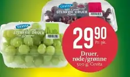 CC Mat CEVITA Druer, røde/grønne tilbud